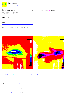 20251231 Mastodon poll final result Thermal Imaging