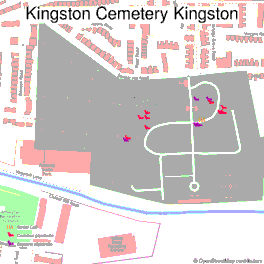 20261010 bat walk Kingston Cemetery detections locational MW